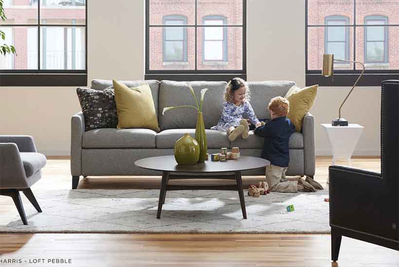 Harris-Comfort-Sleeper-Room-Scene Harris Comfort Sleeper in a room