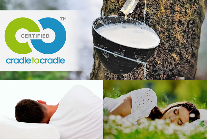 Vita-Talalay - Scott Jordan Furniture