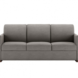 Pearson Comfort Sleeper 